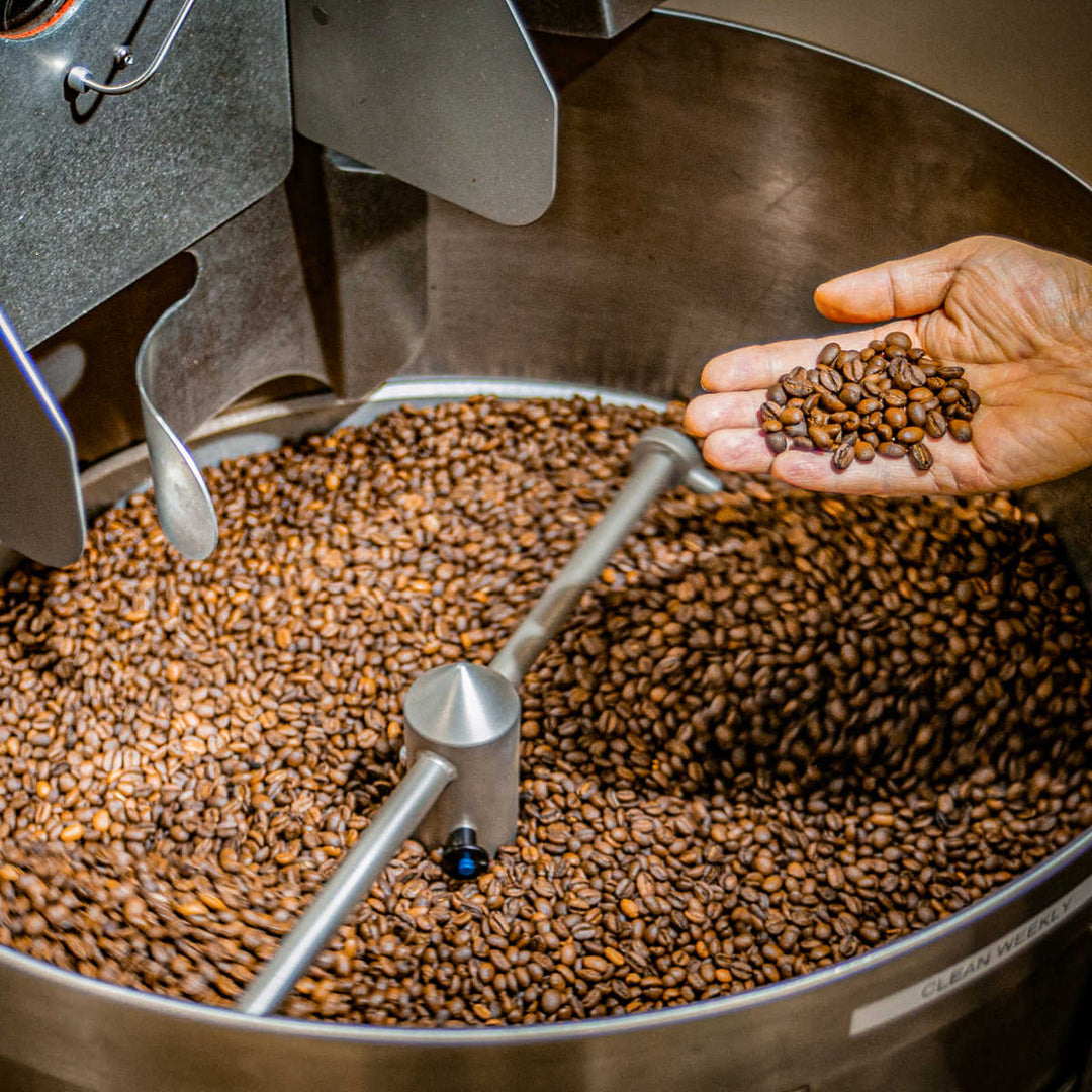 Enzyme Fermented Coffee - Family Size (5lb)