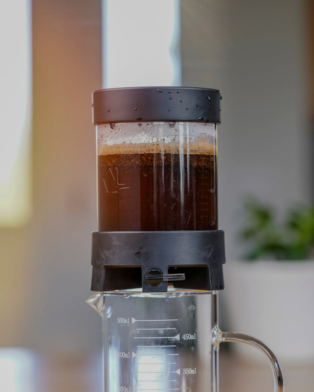 Include Nextlevel Pulsar Drip Brewer - Black ($65 VALUE!)