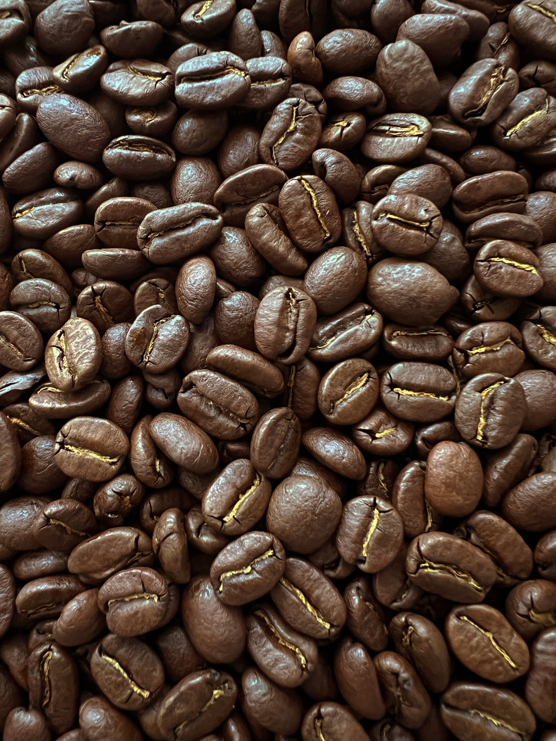 guatemala huehuetanango guaya'b medium roast