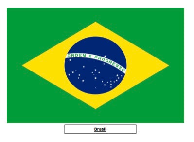 Brazil Bravo - Medium Roast