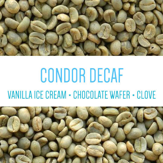 Condor Colombia EA decaf green coffee illustrating specialty decaf quality