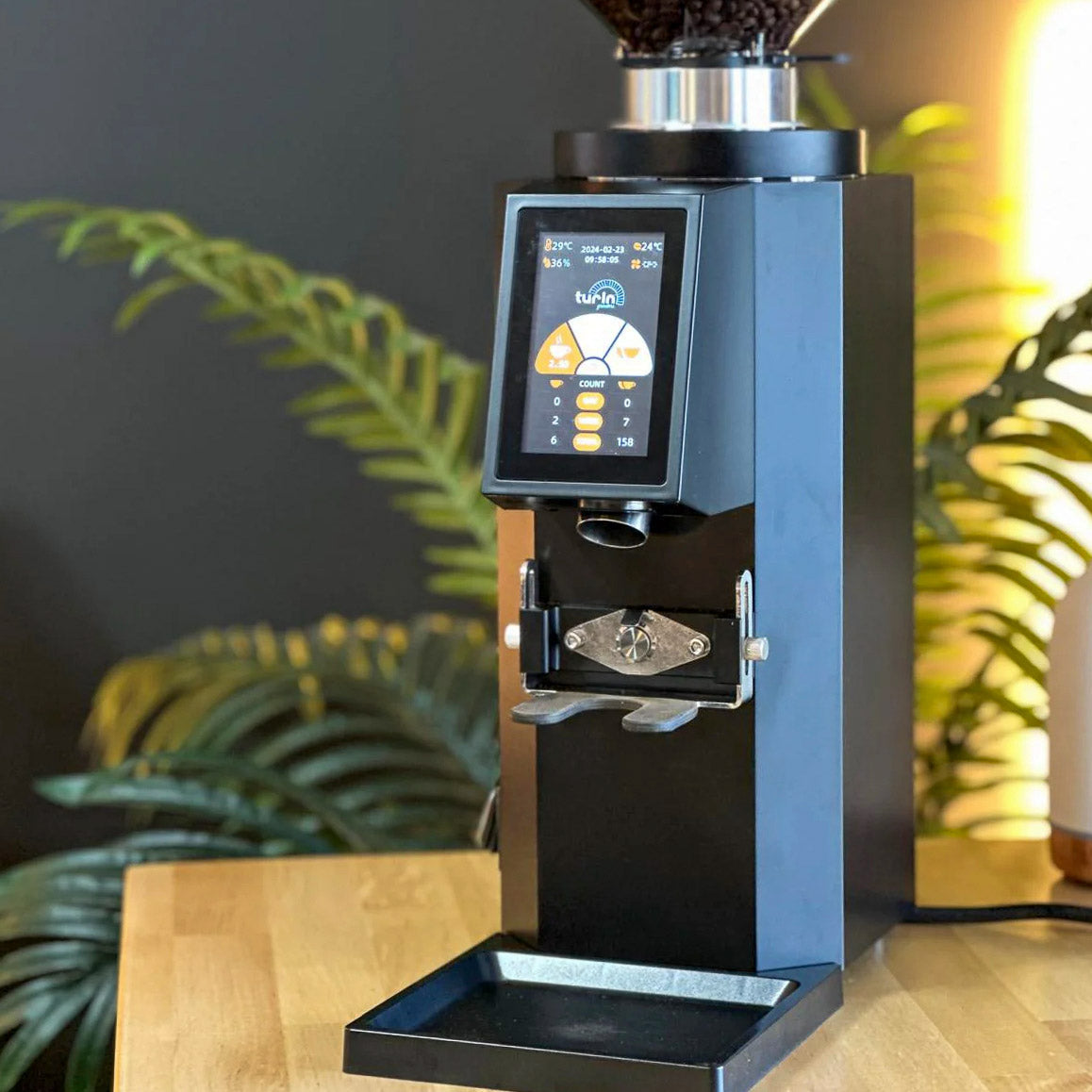 Df54 Turin DF54 v2 Single Dose Flat Burr Grinder – Espresso Outlet LLC