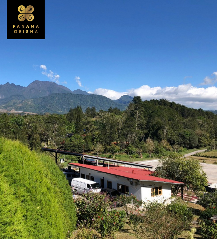 Bag of specialty roast coffee from Ethiopia with notes of Floral
