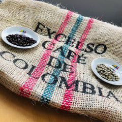 Colombia Finca Paramitos Green Coffee – 10 lb by Norte Café — green coffee beans, image 2 of 3