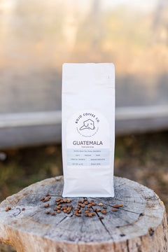 BoJo Guatemala bag centered on a cut tree stump in warm outdoor light