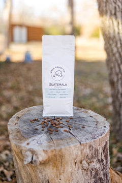 Wider view of a BoJo Guatemala coffee bag on a stump beside a tree