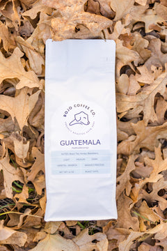 BoJo Guatemala coffee bag photographed among dry autumn leaves