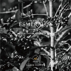 Panama Geisha Private Collection natural coffee detail