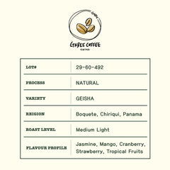Cañas Verdes Geisha coffee lot information