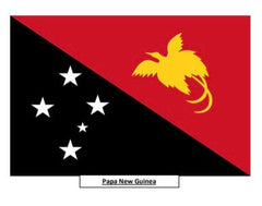 Papua New Guinea flag graphic in the Bendix Papua New Guinea Dark Roast Coffee gallery
