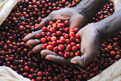 Feast Humeka Rwanda Anaerobic Natural product photograph 4