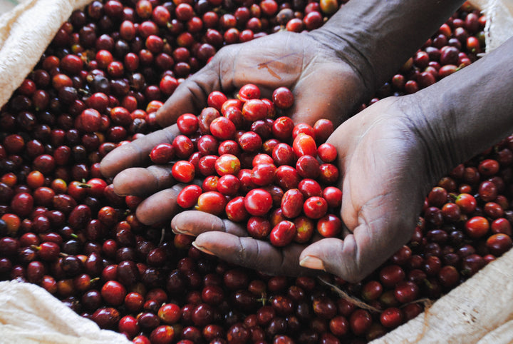 Humeka | Rwanda | Anaerobic Natural