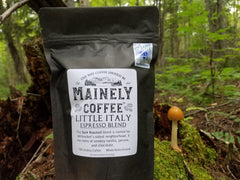 Black Little Italy espresso-blend pouch beside a tree in the forest