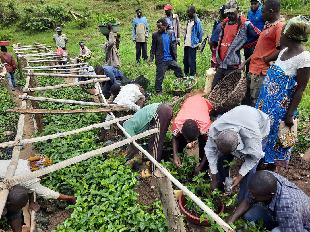 Humeka | Rwanda | Anaerobic Natural