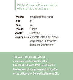El Salvador Cup of Excellence #1 Pacamara — brewing presentation