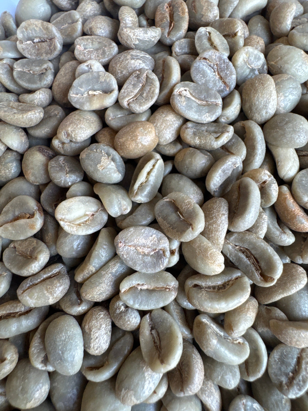 Lychee Washed Castillo + (Wine Yeast / Lychee) Jairo Arcila - GREEN BEANS -
