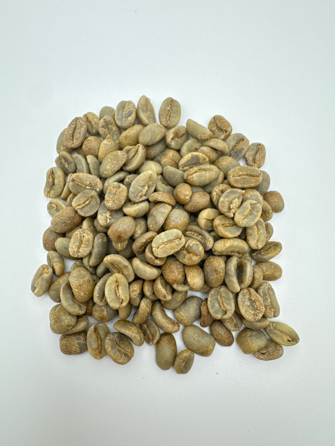 CINNAMON ROLL | DIEGO BERMUDEZ M-03 CASTILLO -  GREEN BEANS -