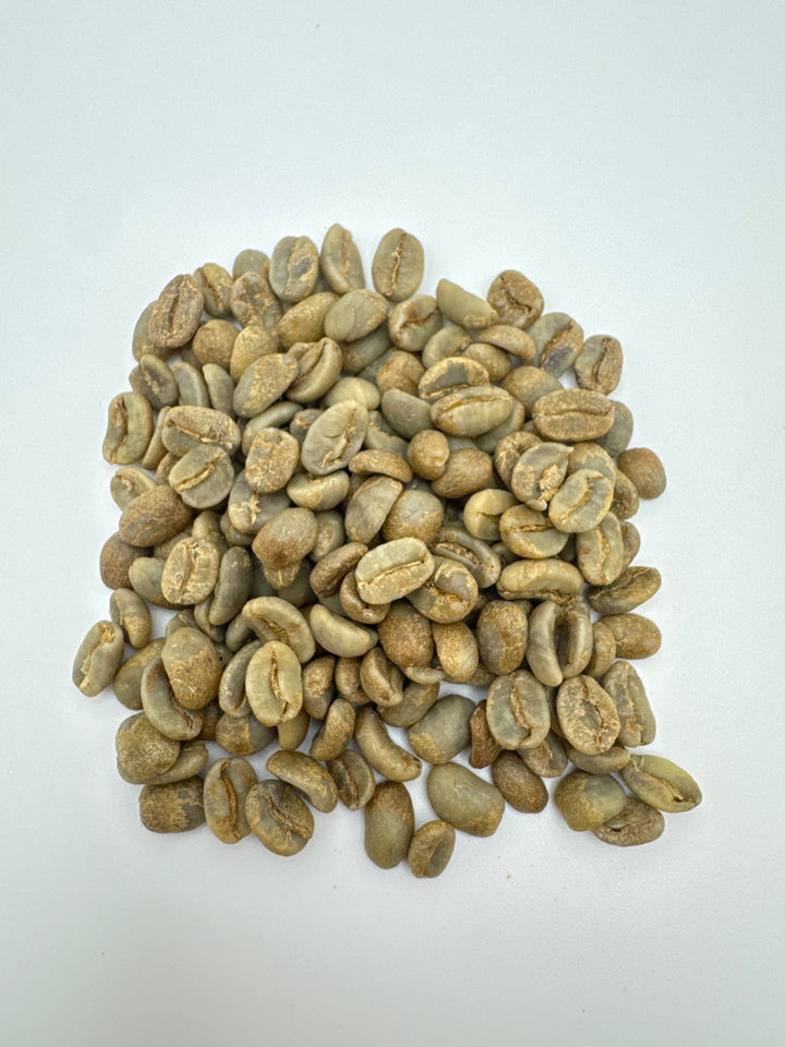 CINNAMON ROLL | DIEGO BERMUDEZ M-03 CASTILLO -  GREEN BEANS -