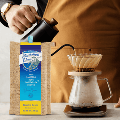 Plantation Blue 16 oz medium whole-bean Jamaica Blue Mountain coffee beside a hand pouring from a black kettle into a filter brewer