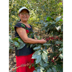 Coffee farm community associated with Rosalba's Chiapas coffee