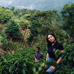 Spirit Animal Finca Dos Andres Geisha Coffee — coffee product image 4