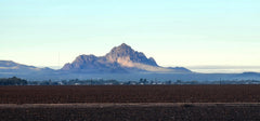 Desert mountain silhouette across a flat landscape — Al Gusto Ironwood Medium-Dark Coffee Blend