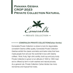 Hacienda La Esmeralda Cañas Verdes farm and Geisha coffee image
