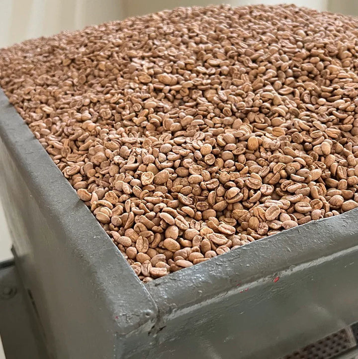 CONDOR COLOMBIA EA DECAF SINGLE ORIGIN - GREEN BEANS -