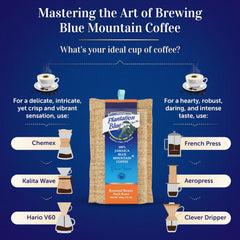 Brewing-method comparison graphic with Plantation Blue 12 oz dark whole-bean Jamaica Blue Mountain coffee and filter and immersion brewer illustrations