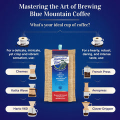 Brewing-method comparison graphic with Plantation Blue 12 oz dark ground Jamaica Blue Mountain coffee and filter and immersion brewer illustrations