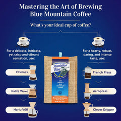 Brewing-method comparison graphic with Plantation Blue 8 oz dark whole-bean Jamaica Blue Mountain coffee and filter and immersion brewer illustrations
