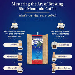 Brewing-method comparison graphic with Plantation Blue 8 oz dark ground Jamaica Blue Mountain coffee and filter and immersion brewer illustrations