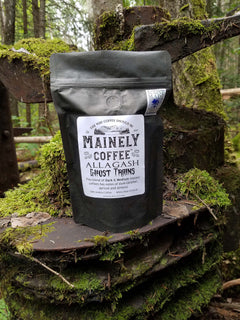 Black Mainely Allagash Ghost Trains bag on moss-covered metal steps outdoors