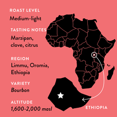 Atnago’s Ethiopia Medium-Light Roast Coffee — alternate package view