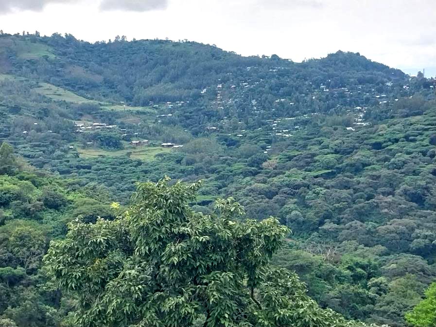 Atnago's Ethiopia