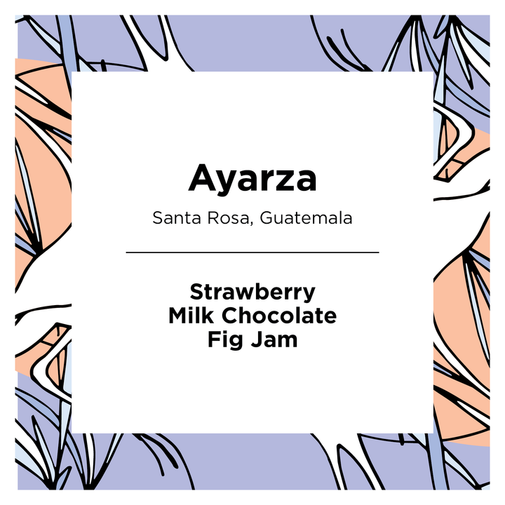 Ayarza | Guatemala | Natural