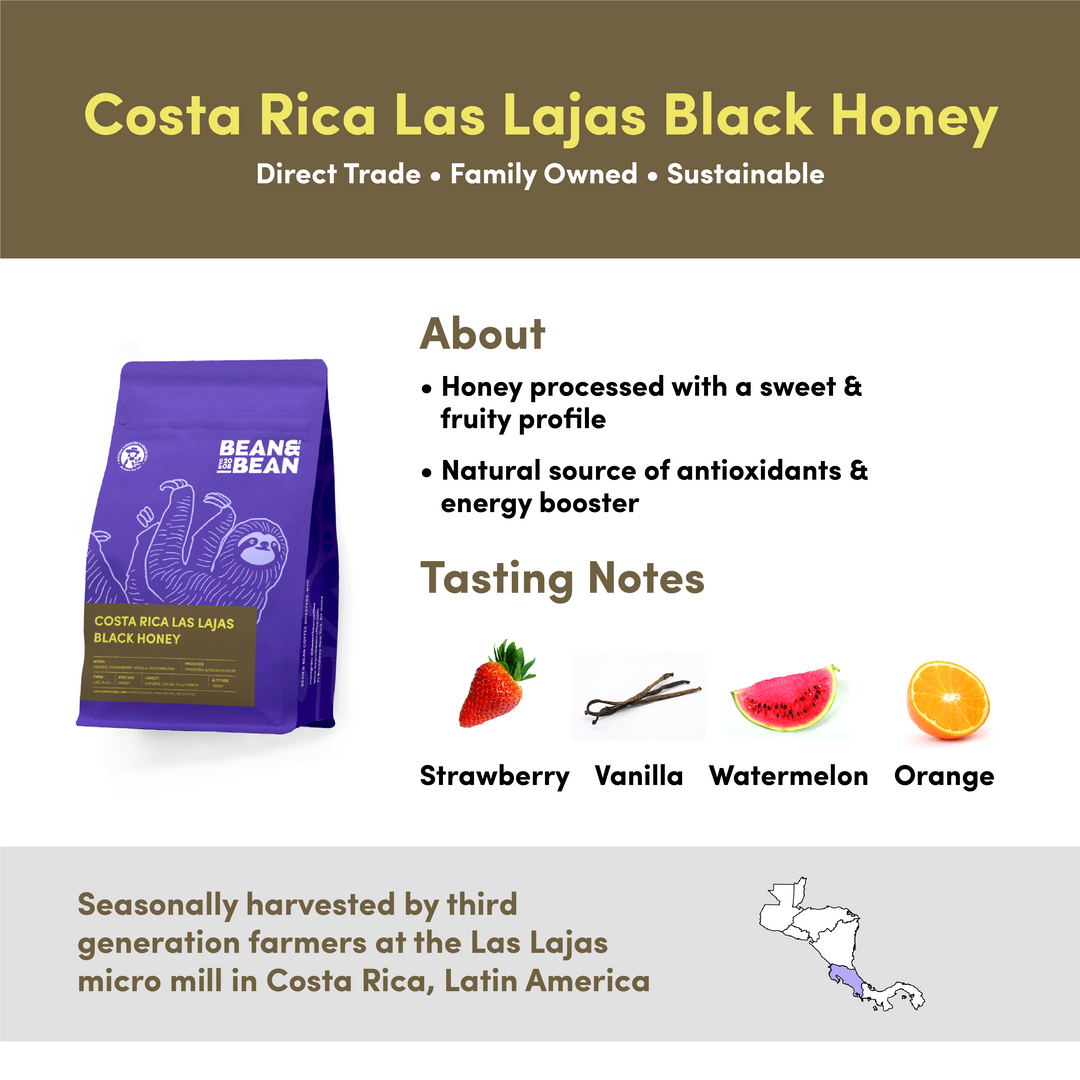 Bag of specialty roast coffee from Costa Rica with notes of Fruity