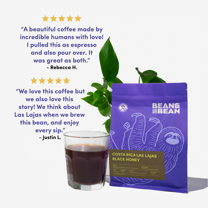 Bag of specialty roast coffee from Costa Rica with notes of Fruity