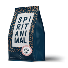 Spirit Animal Raquel Giron Parainema Coffee — front coffee package