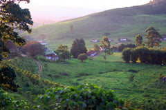 Brazil Decaf by Nossa Familia Coffee — coffee package, image 8 of 13