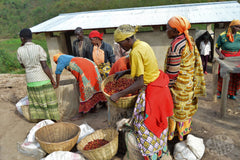 Turihamwe women coffee producers in Burundi group photograph two
