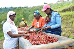 Turihamwe women coffee producers in Burundi group photograph one