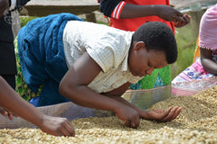 Turihamwe women coffee producers in Burundi group photograph three