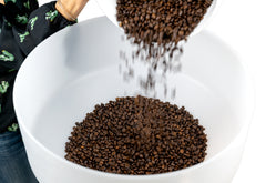 Coffee Crafters Avalanche 1400 coffee destoner