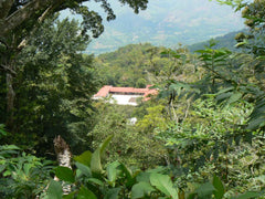 Bean & Bean Mexico COE #5 Honey Gesha — producer or origin detail, image 3