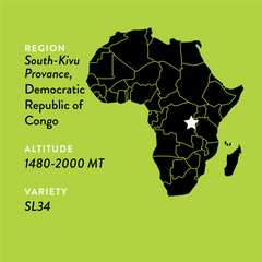 Charlotte's DRC coffee producer and origin story