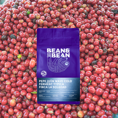 Bean & Bean Ecuador La Soledad Typica Mejorado — ground coffee package, image 1