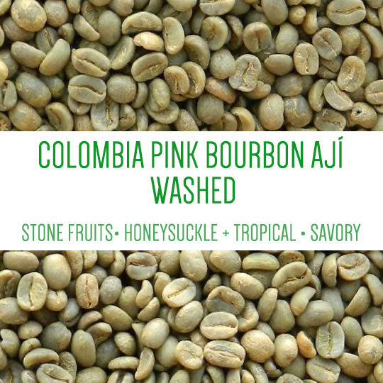 Colombia Pink Bourbon Ají El Pariaso Diego Bermudez - GREEN BEANS -