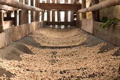 Rusty Dog Colombia Jardín City+ Roast — producer or origin detail, image 2