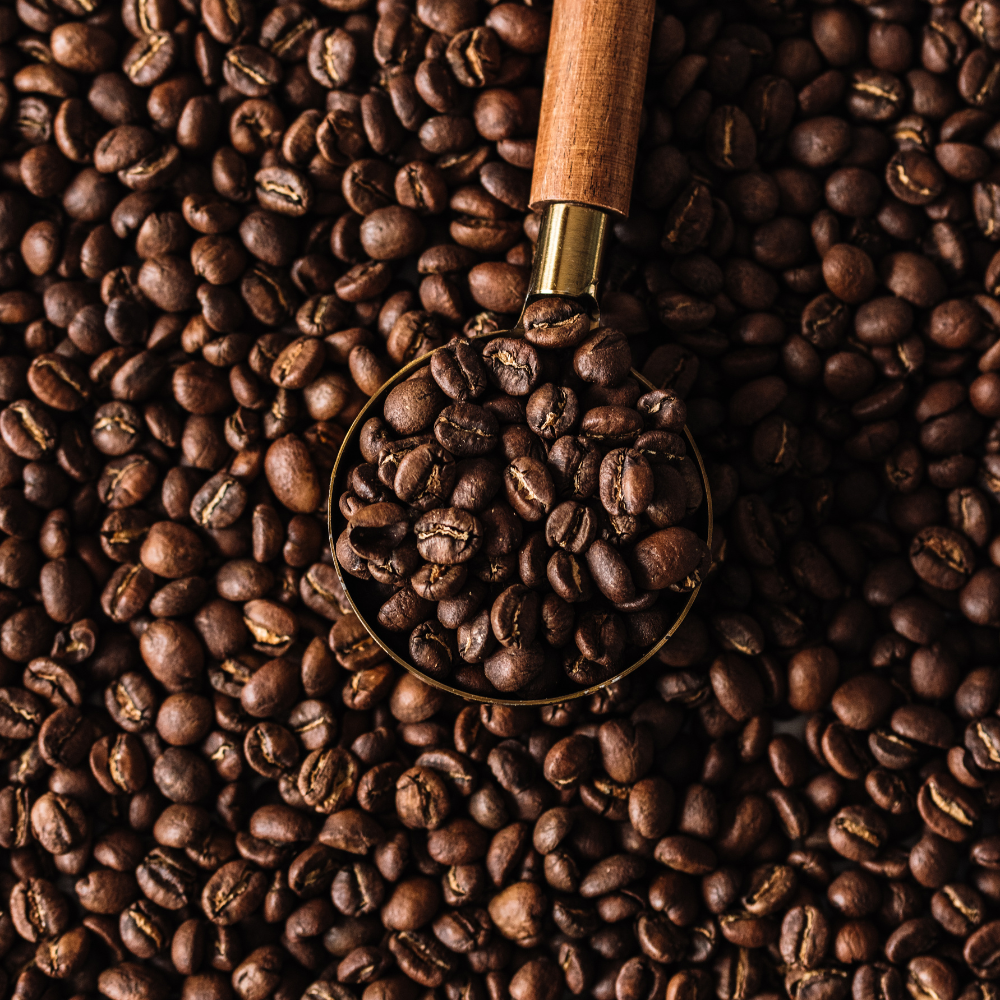 Bag of dark roast coffee from Costa Rica with notes of Chocolate